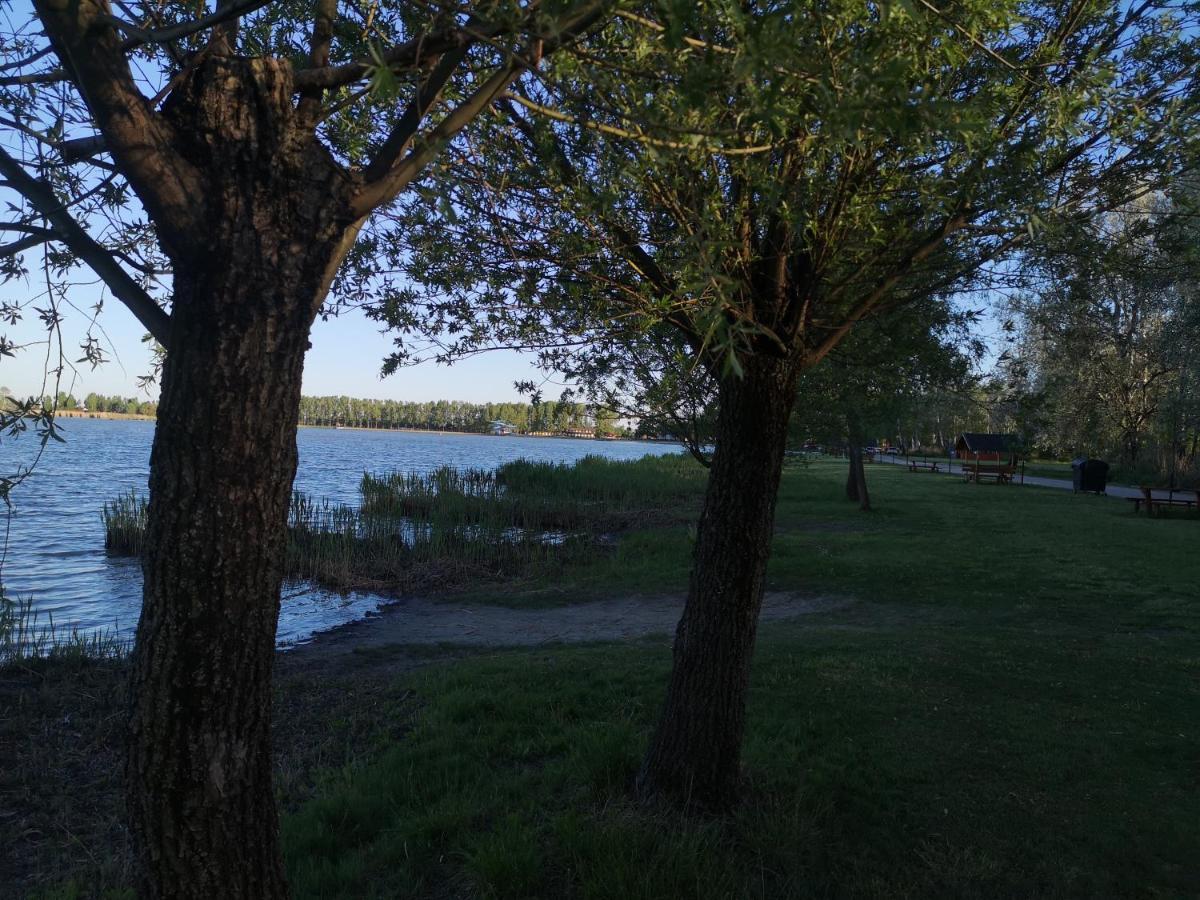 Rozsa Villa Vadkerti To Soltvadkert Esterno foto
